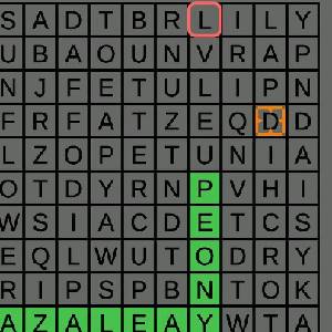 1-2-Word Search! - Flores