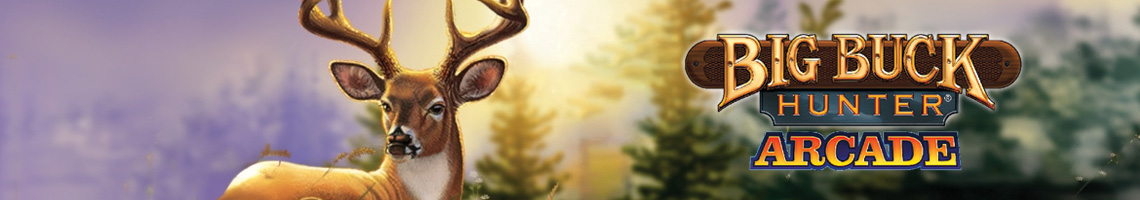 Ideal para Partidas Rápidas: Big Buck Hunter Arcade