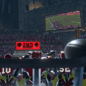 2MD VR Football Evolution - Mariscal de Campo