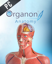 3D Organon Anatomy Pc