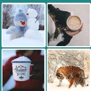 4 Pics 1 Word Quiz Game - Nieve