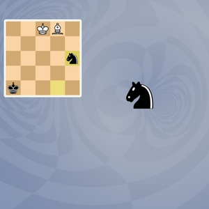 5D Chess With Multiverse Time Travel - Caballero