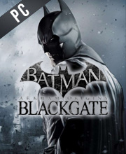 Batman Arkham Origins Blackgate Pc