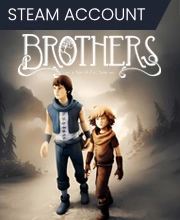 Brothers A Tale of Two Sons Pc