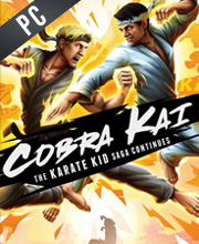 Cobra Kai The Karate Kid Saga Continues Pc