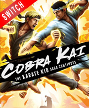 Cobra Kai The Karate Kid Saga Continues Switch