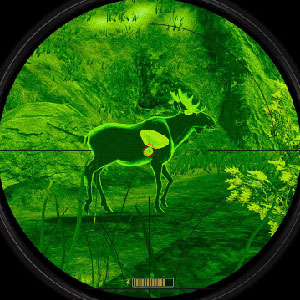 1st person hunting simulation