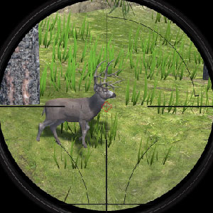 Gameplay Image