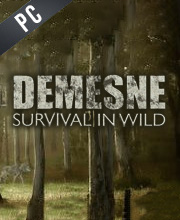 Demesne Pc