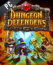 Dungeon Defenders
 Pc