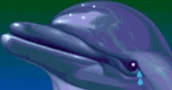 Ecco the Dolphin Complete Anunciado Con Remasters y un Nuevo Juego