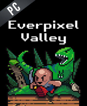 Everpixel Valley