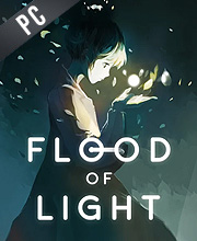 Flood Of Light Pc