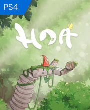 Hoa Playstation 4