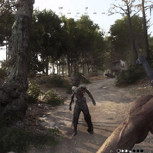 Hunt Showdown Environment