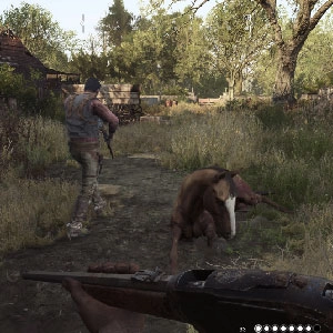 Hunt Showdown Chain Pistol