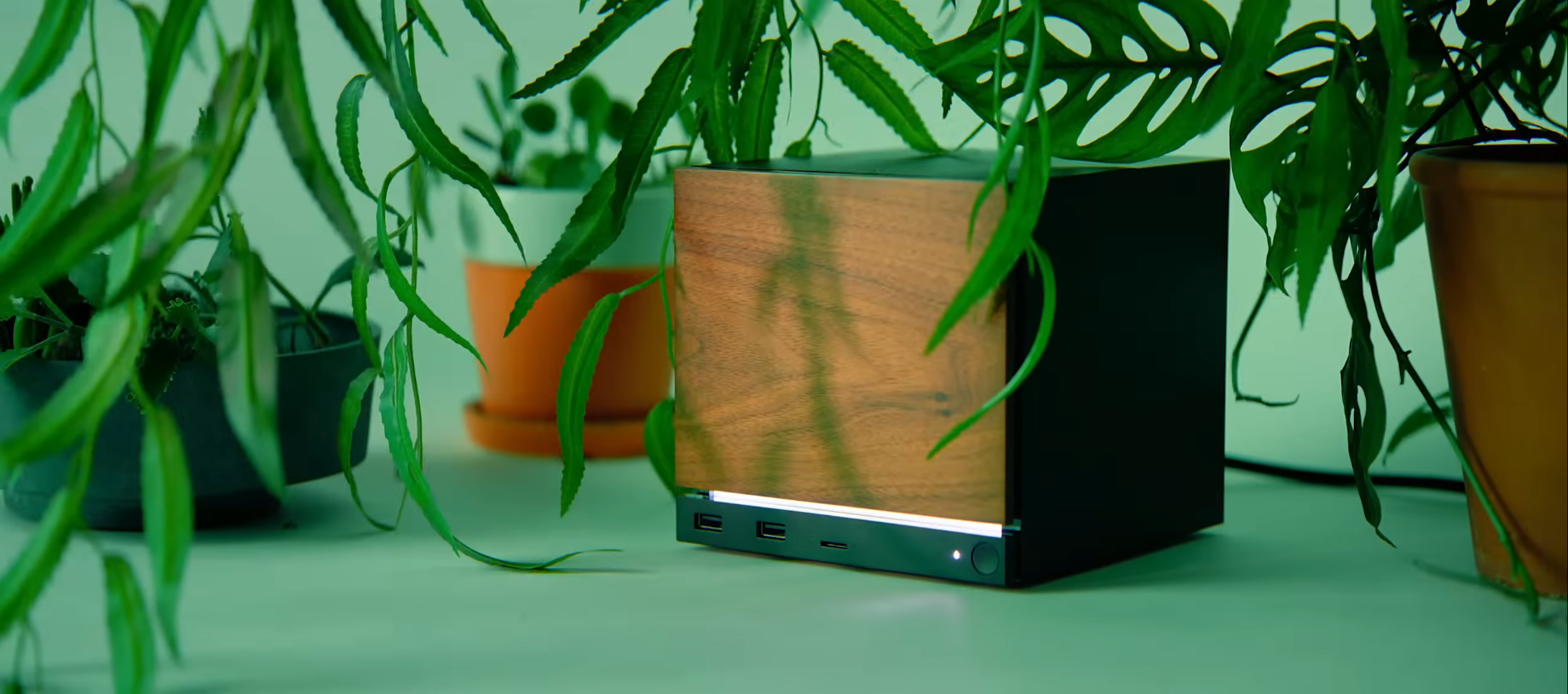 Steam Machine entre hojas