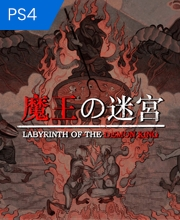 Labyrinth Of The Demon King Playstation 4