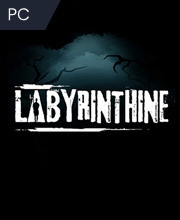 Labyrinthine Pc
