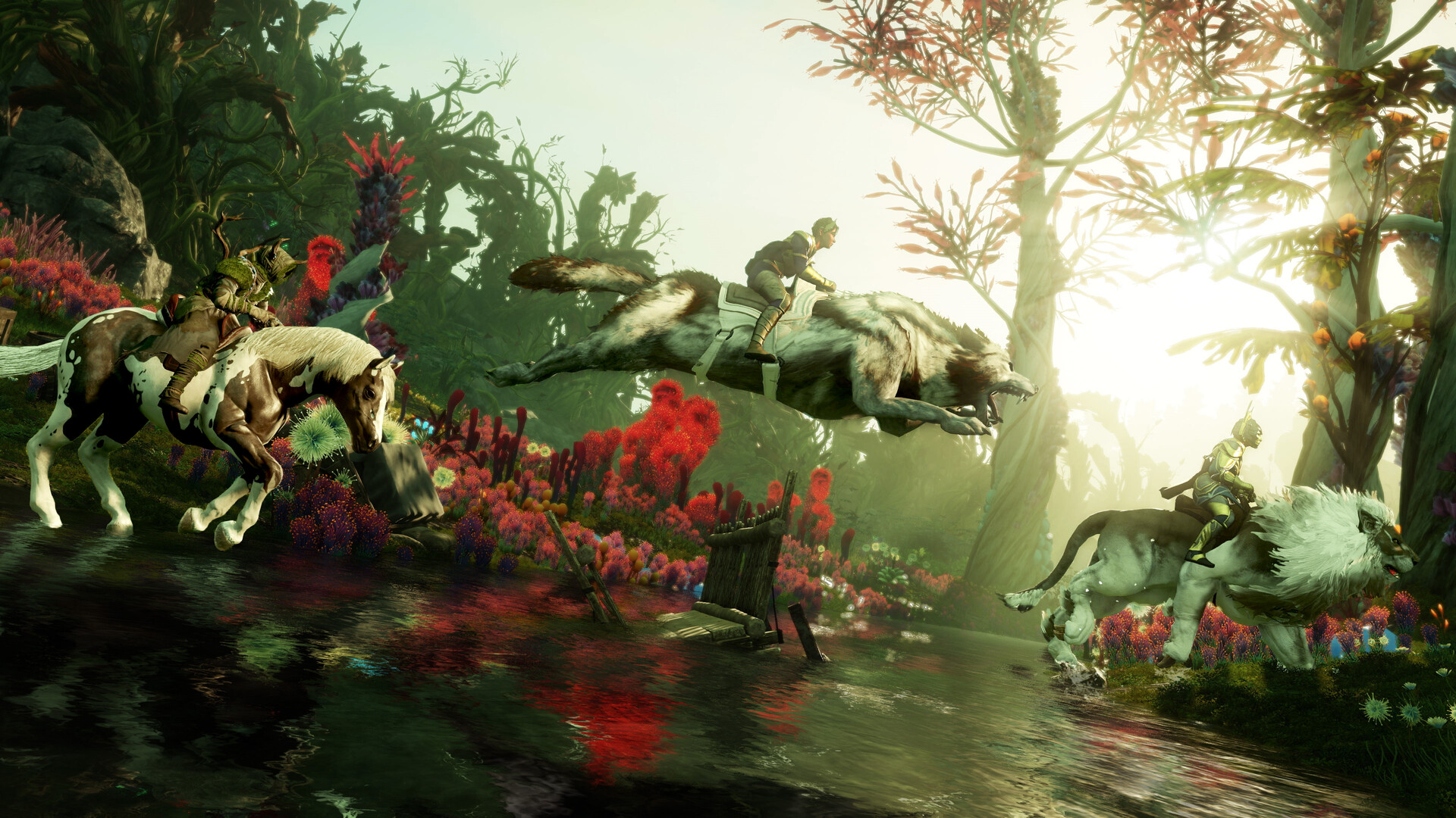 New World montura y mascota