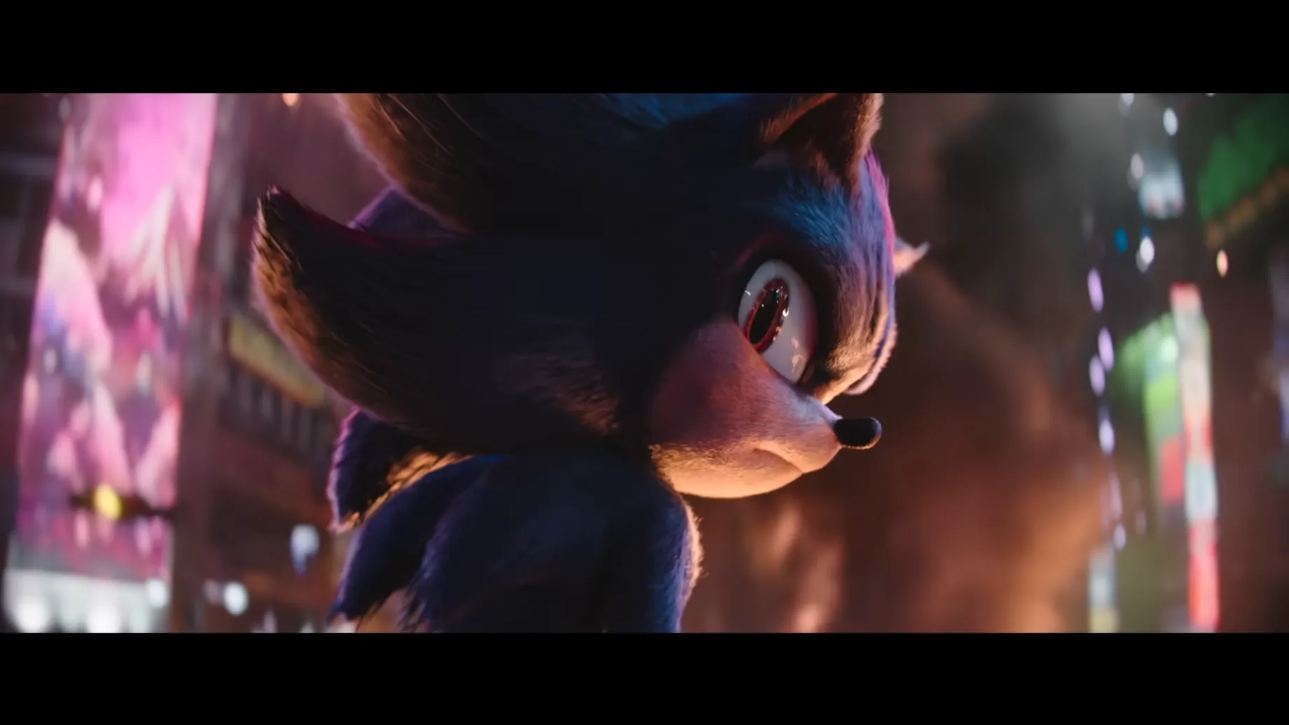 Shadow mirando por encima del hombro