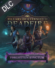 Pillars of Eternity 2 Deadfire The Forgotten Sanctum Pc