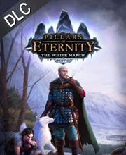 Pillars of Eternity The White March Part Two Pc