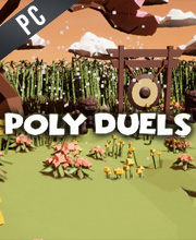 Poly Duels Pc