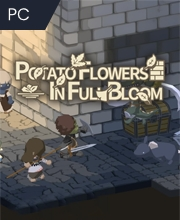 Potato Flowers in Full Bloom Pc