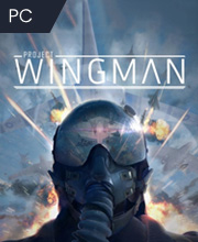 Project Wingman Pc