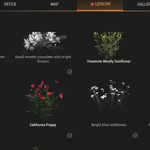 Ranger’s Path National Park Simulator - Léxico