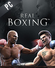 Real Boxing Pc