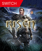 Risen Switch
