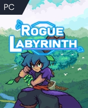 Rogue Labyrinth Pc