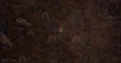 Scavland adapta la supervivencia extrema de STALKER en un RPG cenital