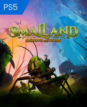 SMALLAND Playstation 5