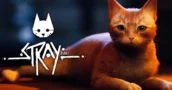 Stray: Promoción Especial Reduce el Precio para Grandes Ahorros