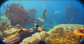El Acceso Anticipado de Subnautica 2 Cuesta Menos en Mercados de Claves