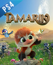 Tamarin Playstation 4