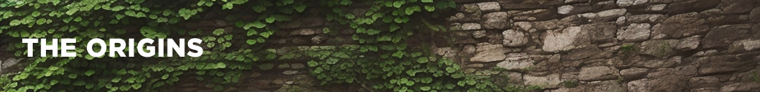 Los Orígenes de Tomb Raider