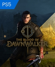 The Blood Of Dawnwalker Playstation 5