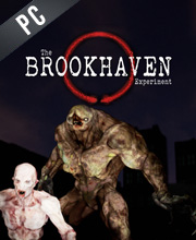 The Brookhaven Experiment Pc