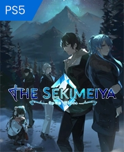 The Sekimeiya Spun Glass Playstation 5