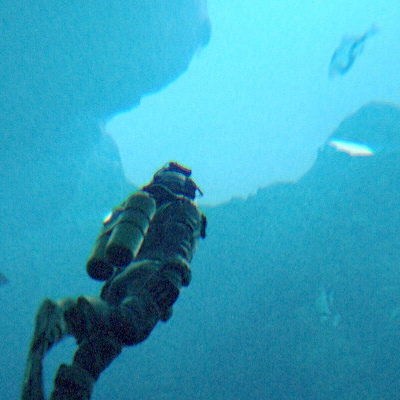 Under The Waves Bajo el Agua