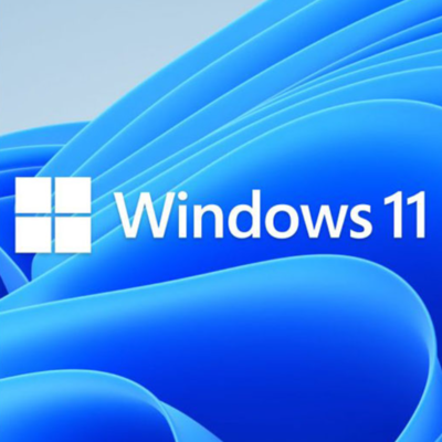 Clave de Windows 11 Pro: Desglose Retail vs. OEM