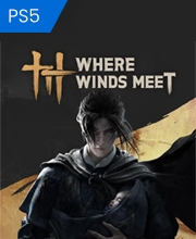 Where Winds Meet Playstation 5