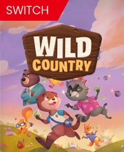 Wild Country Switch