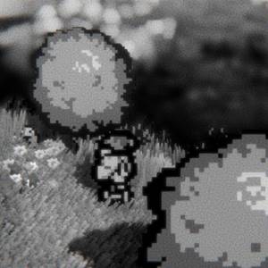 A Walk With Yiayia - Sola