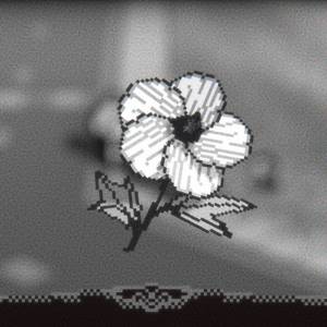 A Walk With Yiayia - La pequeña flor bonita