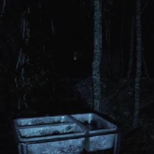 Abandoned Souls - El Bosque